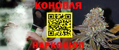 индика Кизилюрт