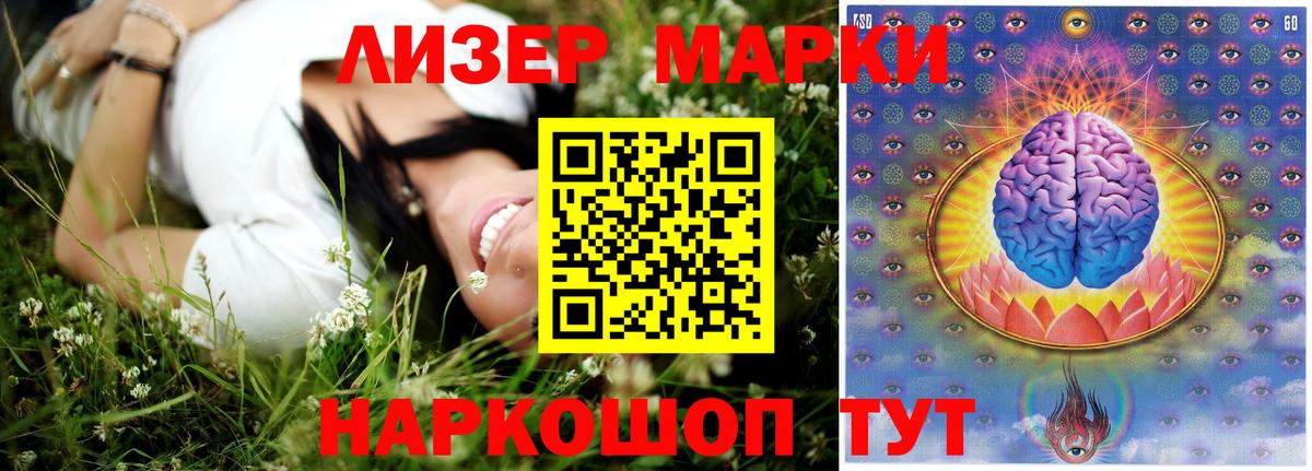 Новоалександровск  Лсд 25 экстази ecstasy  Лсд 25 экстази кислота  Вход с VPN 
