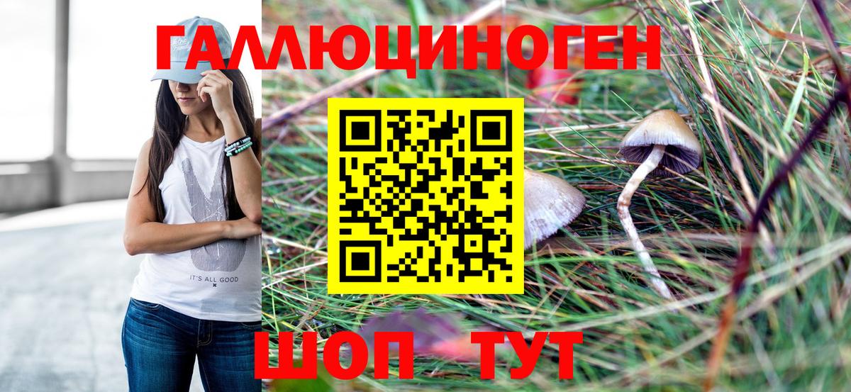 Новоалександровск  Псилоцибиновые грибы Psilocybine cubensis  Вход с VPN  Псилоцибиновые грибы Psilocybe 