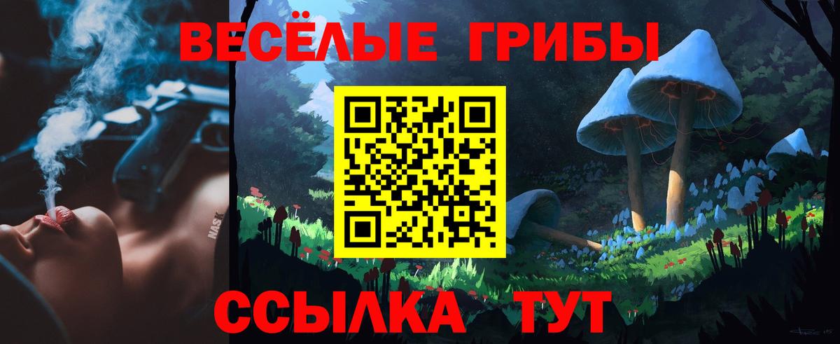 Галлюциногенные грибы мухоморы Новоалександровск